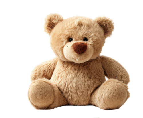 Teddy aus hochwertigem Plüsch